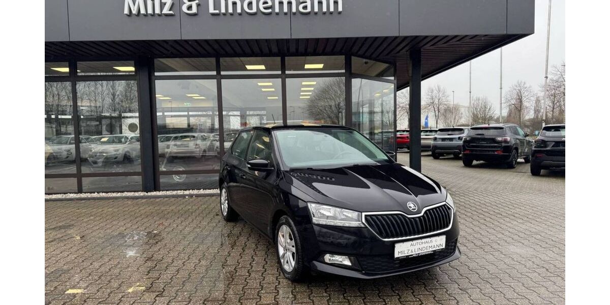 Skoda Fabia 141.519 km 8.390 &euro; Jülich 52428