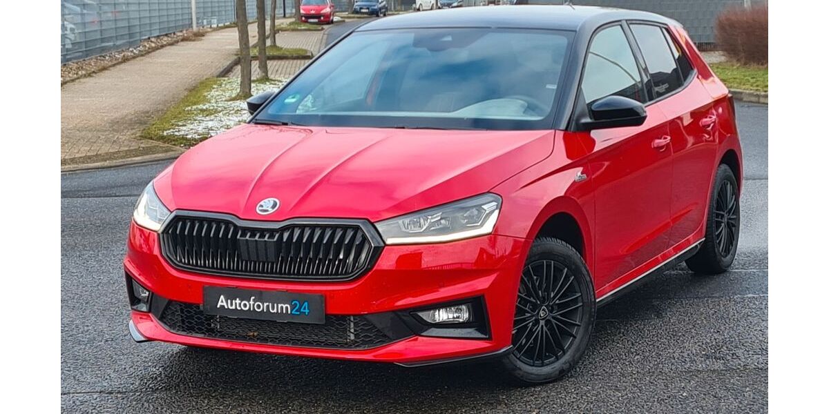 Skoda Fabia 14.500 km 15.999 &euro; Jülich 52428