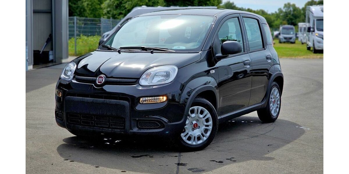 Fiat Panda 2.000 km 12.480 &euro; Düren 52351