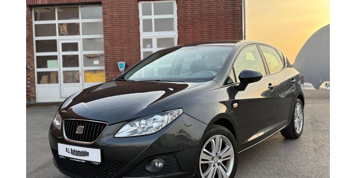Seat Ibiza 119.077 km 4.299 &euro; Düren 52349
